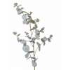 Tige d'eucalyptus artificiel