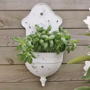 Décoration Jardin Shabby-Chic