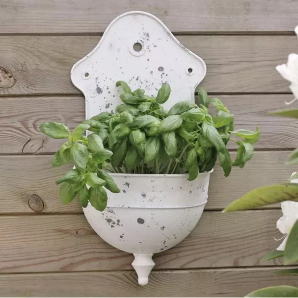Décoration Jardin Shabby-Chic