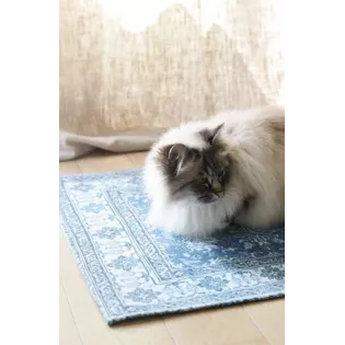 Tapis Persan style ancien Lavable