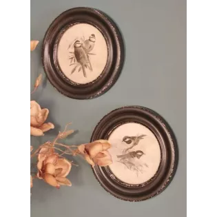 Tableaux Ambiance Cabinet de Curiosités