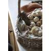 Brosse de Cuisine Bois