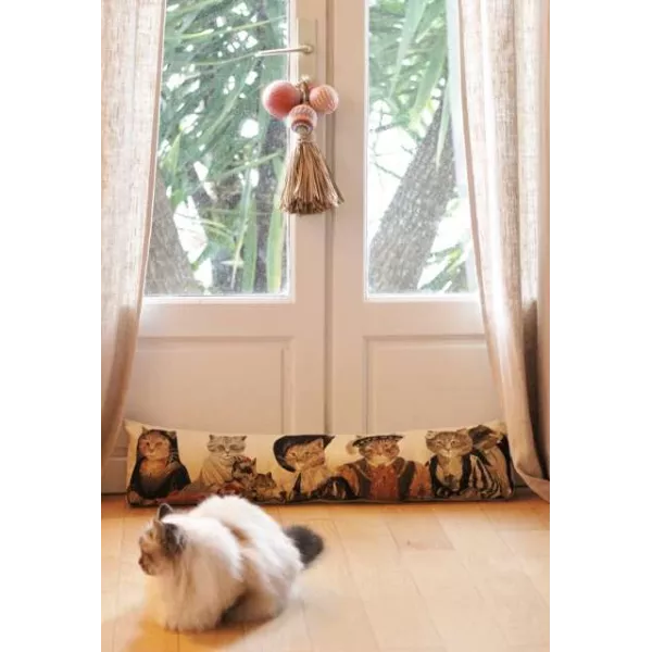 Boudin Porte Chat