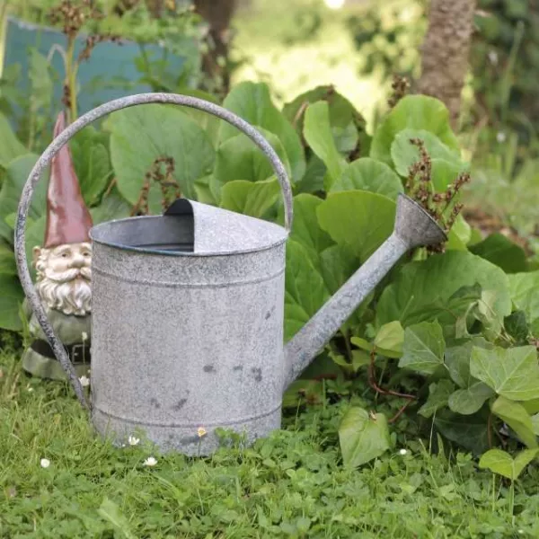 Arrosoir Jardin Style Campagne