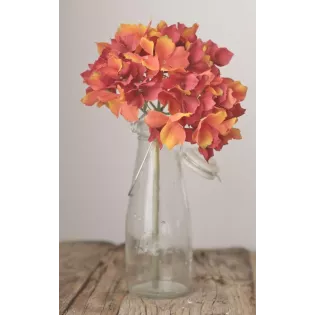 Hortensias Artificiels automne
