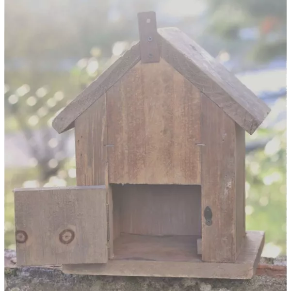 Maison Oiseaux