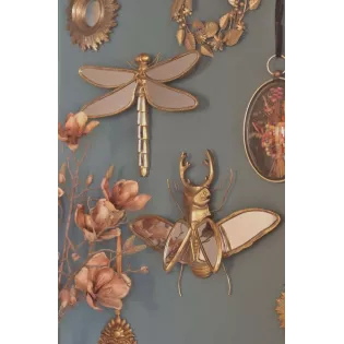 Miroir Cabinet de Curiosités