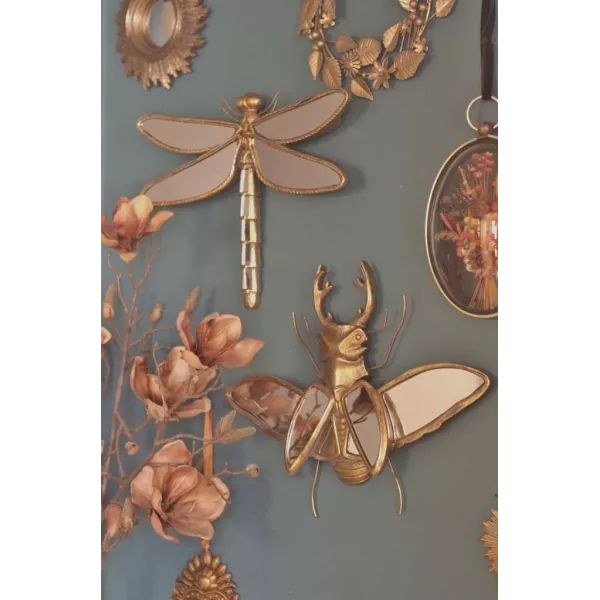 Miroir Cabinet de Curiosités