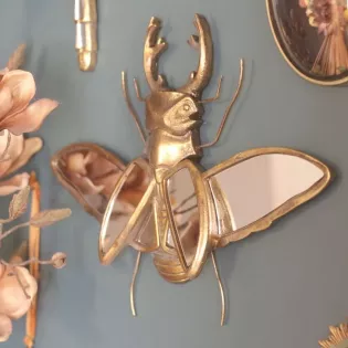 Miroir Cabinet de Curiosités