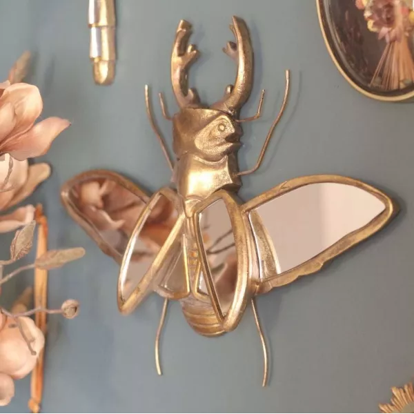Miroir Cabinet de Curiosités