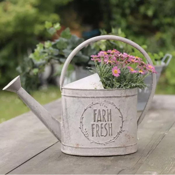 Arrosoir Métal Déco Jardin Shabby-Charme