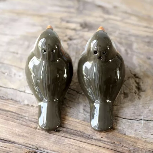 Salière Poivrière Décoration Oiseaux