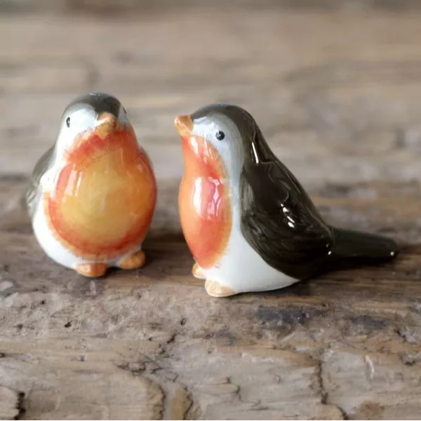 Salière Poivrière Décoration Oiseaux