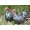 Poule et Coq Résine pour Extérieur