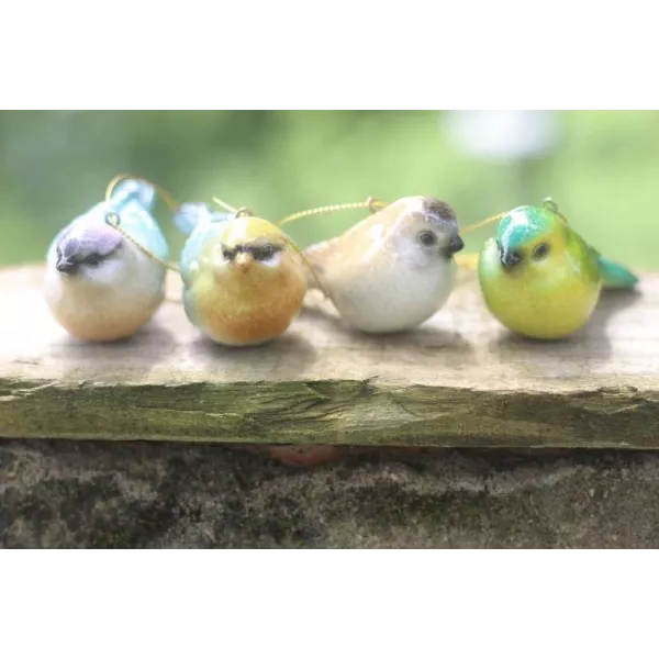 Oiseaux Décoratifs