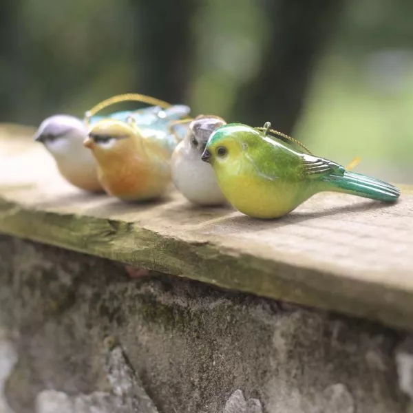 Oiseaux Décoratifs