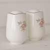 Salière Poivrière Shabby-Charme