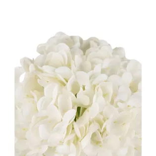 Hortensia Artificiel Blanc Cosy