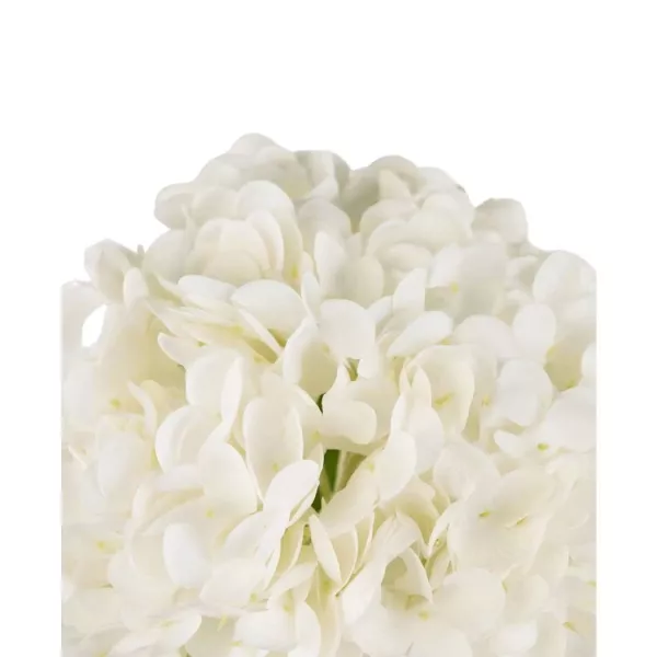 Hortensia Artificiel Blanc Cosy