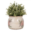 Petit Cache Pot Roses Anciennes Vintage