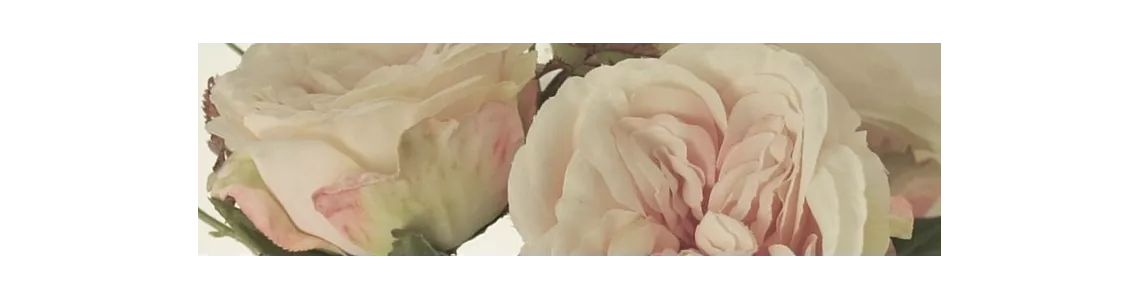 FLEURS & BOUQUETS