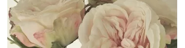 FLEURS & BOUQUETS