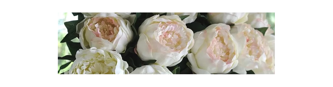 PIVOINES ARTIFICIELLES
