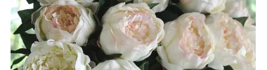 PIVOINES ARTIFICIELLES